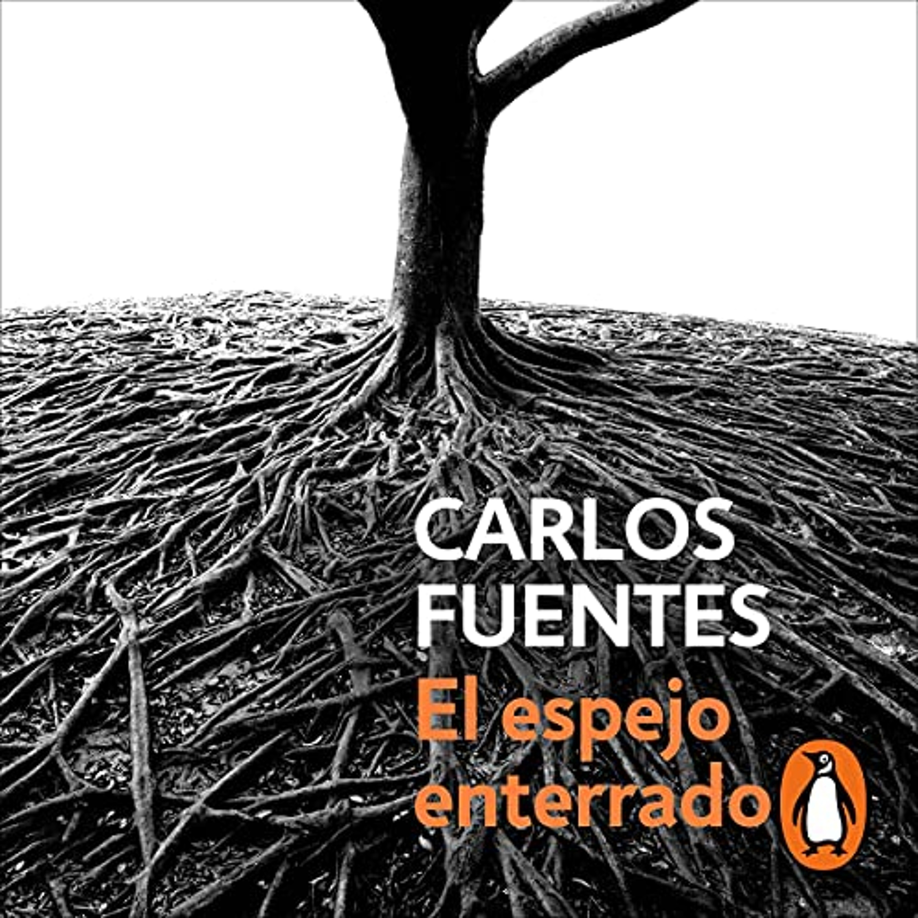 El espejo enterrado [The Buried Mirror] (Audiolibro) | Prueba Gratis