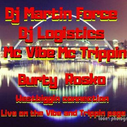 Dj Martin Force Dj Logistics Burty Rosko Vibe Trippin
