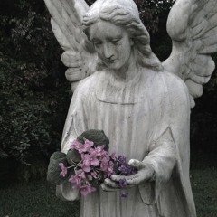 #бесит [без фита]