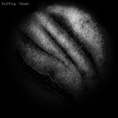Skade