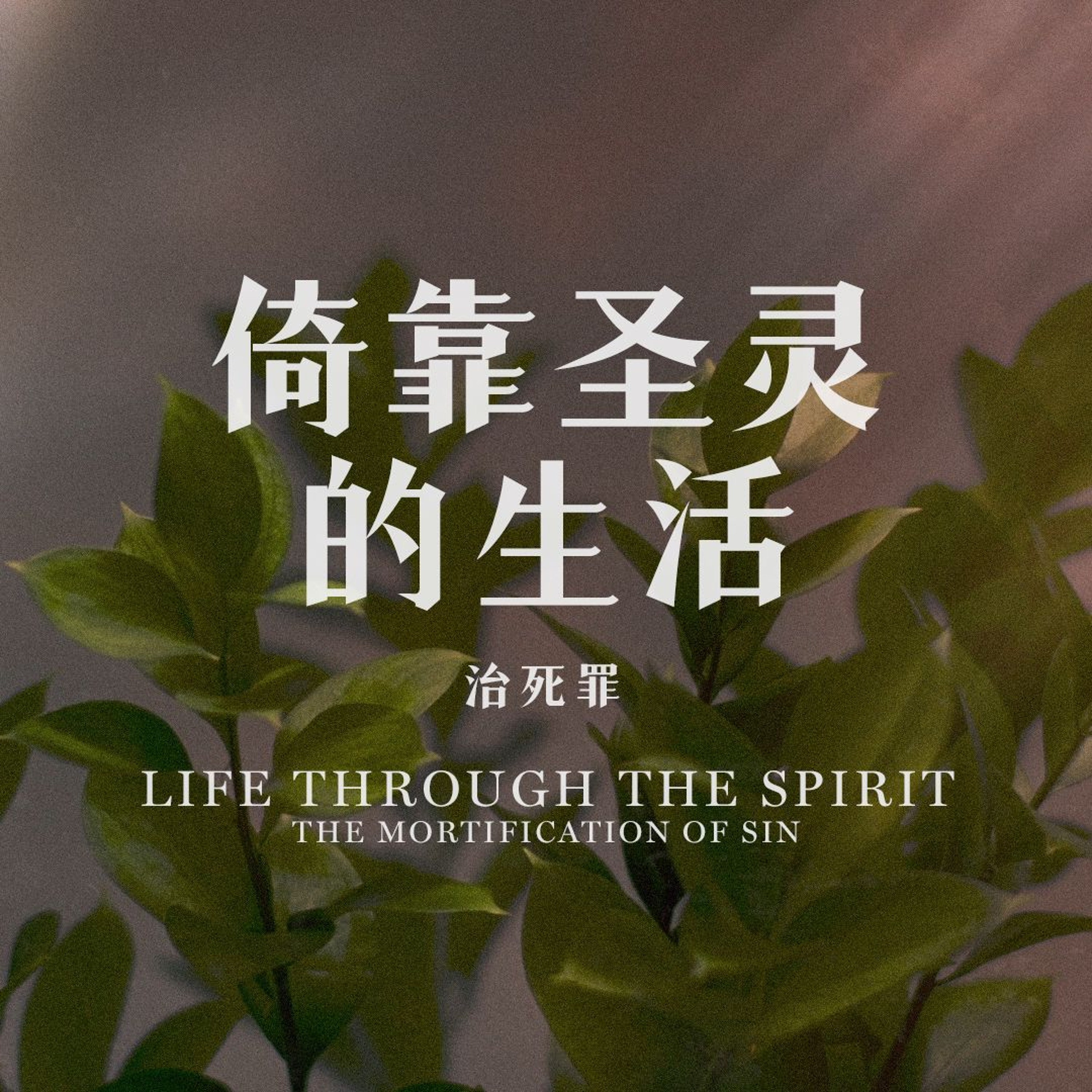 06/23/2024 【罗马书】倚靠圣灵的生活 —— 治死罪（罗 8:12-13）——王唯权 牧师 episode artwork