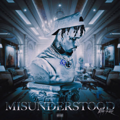 Misunderstood