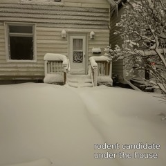 dig this hole