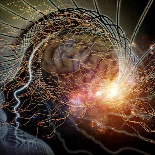 Mind Orgy