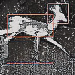 screaming w/ iburnthebridges