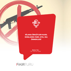 Silahlı örgütler nasıl sonlandı: FARC, ETA, IRA örnekleri