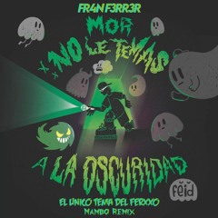 Feid, Young Cister & Pailita - El Único Tema del Ferxxo (Mambo Remix) | FR4N F3RR3R