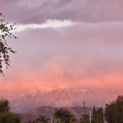 THi$ i$ Relevant VIII