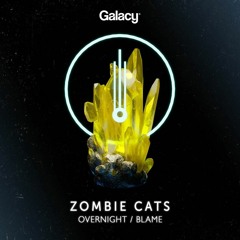 Zombie Cats - Overnight