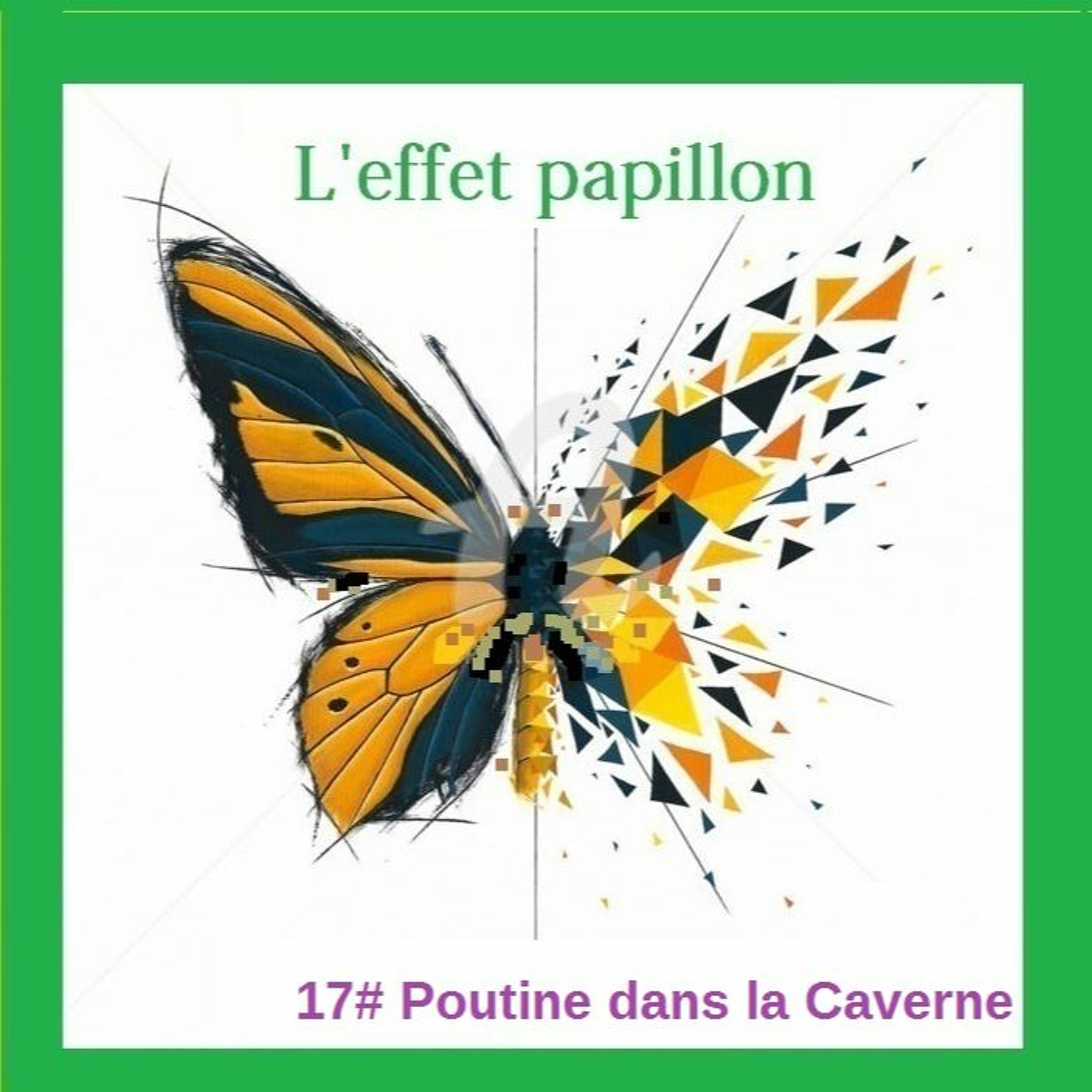 RFL101 L'Effet Papillon De François Meynent  24 02 2023 episode artwork
