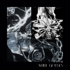 White glasses - T3ussK