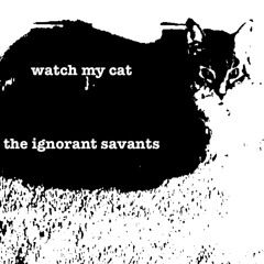 watch my cat