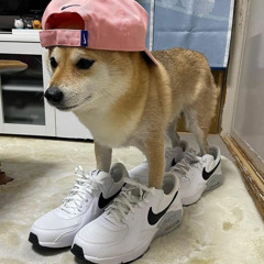 ADHD (prodSHADE08 x ItsDire)