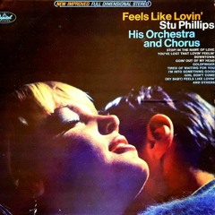 Stu Phillips & The Hollyridge Strings - I'M INTO SOMETHING GOOD  (1965)