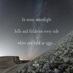 halF stonY [naviarhaiku395]