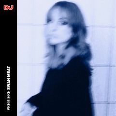 Premiere: Diana Azzuz ‘Pathos (Swan Meat Remix)’