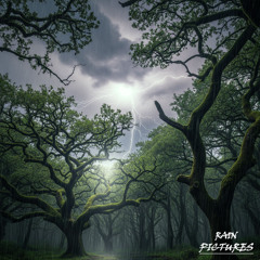 Storm in the woods - RainPictures