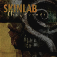 Skinlab - Flesh Wounds