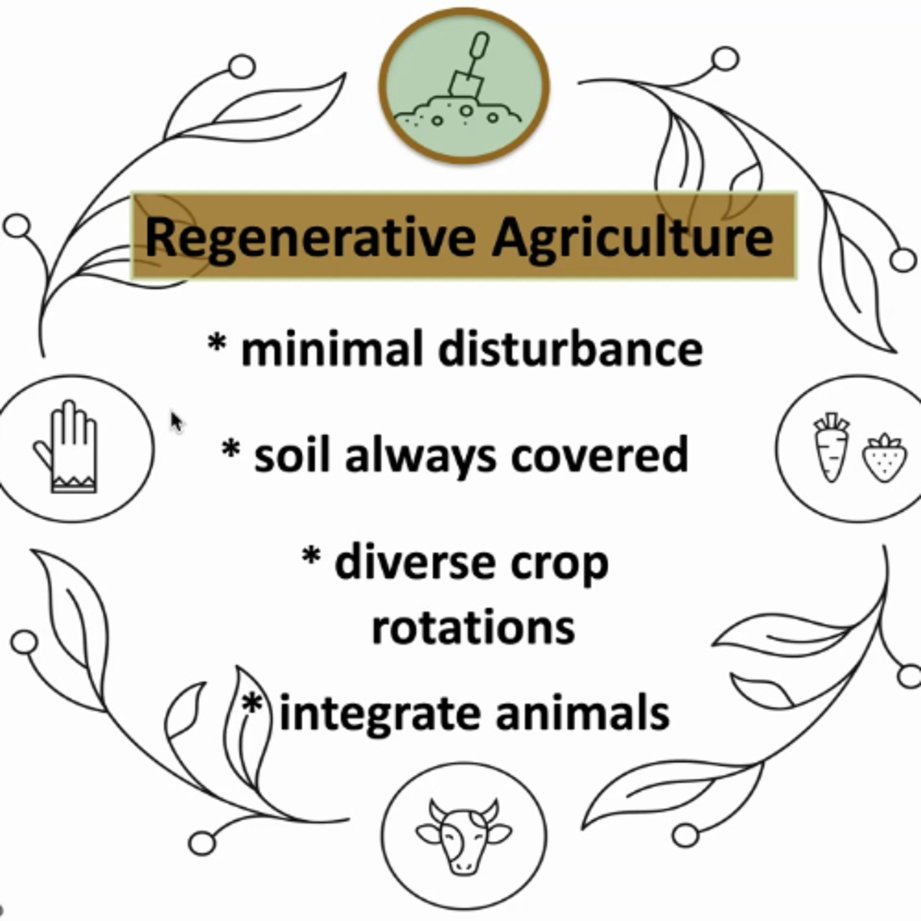Regenerative Agriculture with David Montgomery | R-Soil REWIND