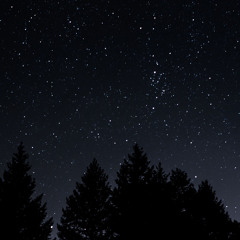 KLEBUS - GUYONWATON.mp3