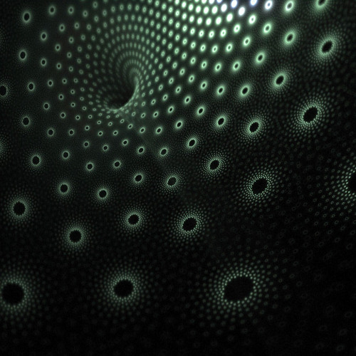 Noisebuilder - Live @ Biorythm Party - Molodoï - Strasbourg (2003)