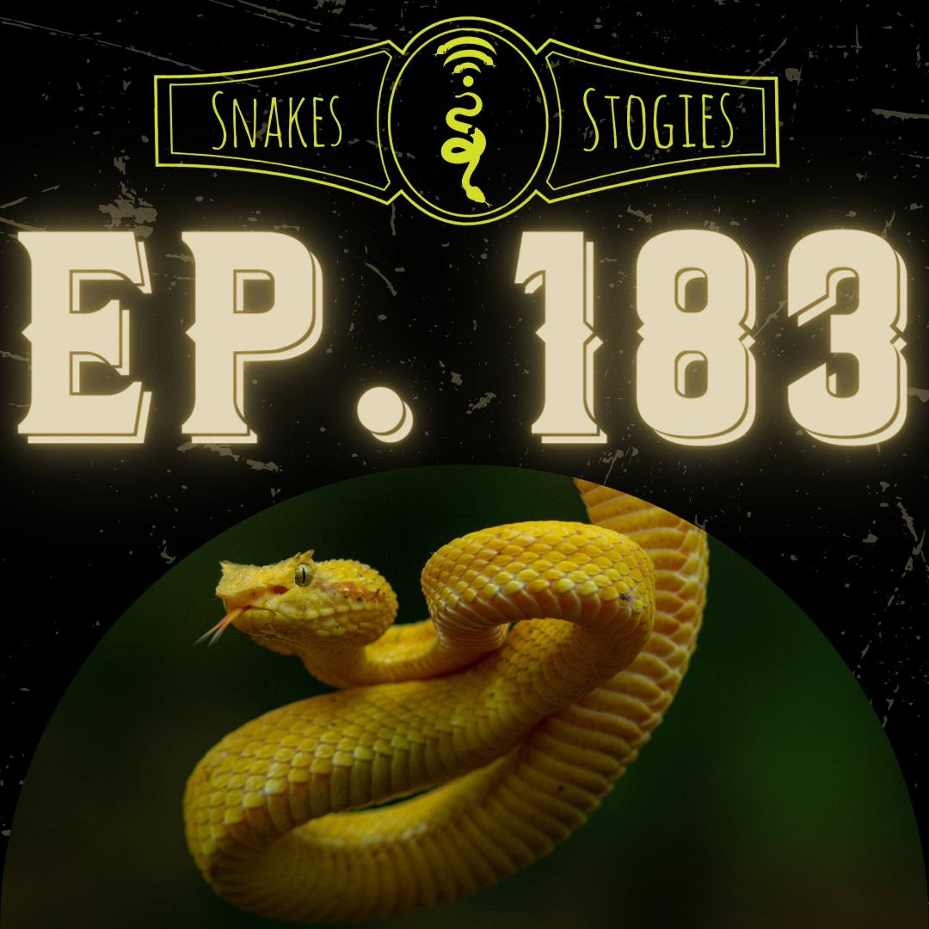 Aaron Gerson of The Forked Tongue | Snakes & Stogies Ep. 183