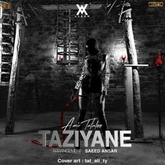 Amir-Tataloo-Taziyane-320.mp3