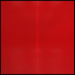 That's Life (A Swamp)