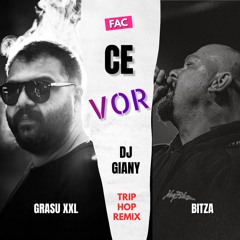 Grasu XXL & Bitza - Fac Ce Vor (DJ Giany Trip Hop Remix) @ FREE DOWNLOAD ONLY FOR DJ's
