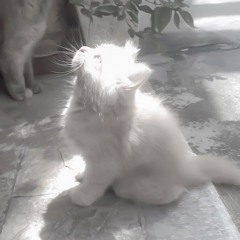 ПОТЕРЯННЫЙ МИР - r4ve ft. #сарказм (prod. by GAXILLIC) #internetlove