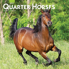 [Download] EPUB 🎯 Quarter Horses 2021 12 x 12 Inch Monthly Square Wall Calendar, Ani