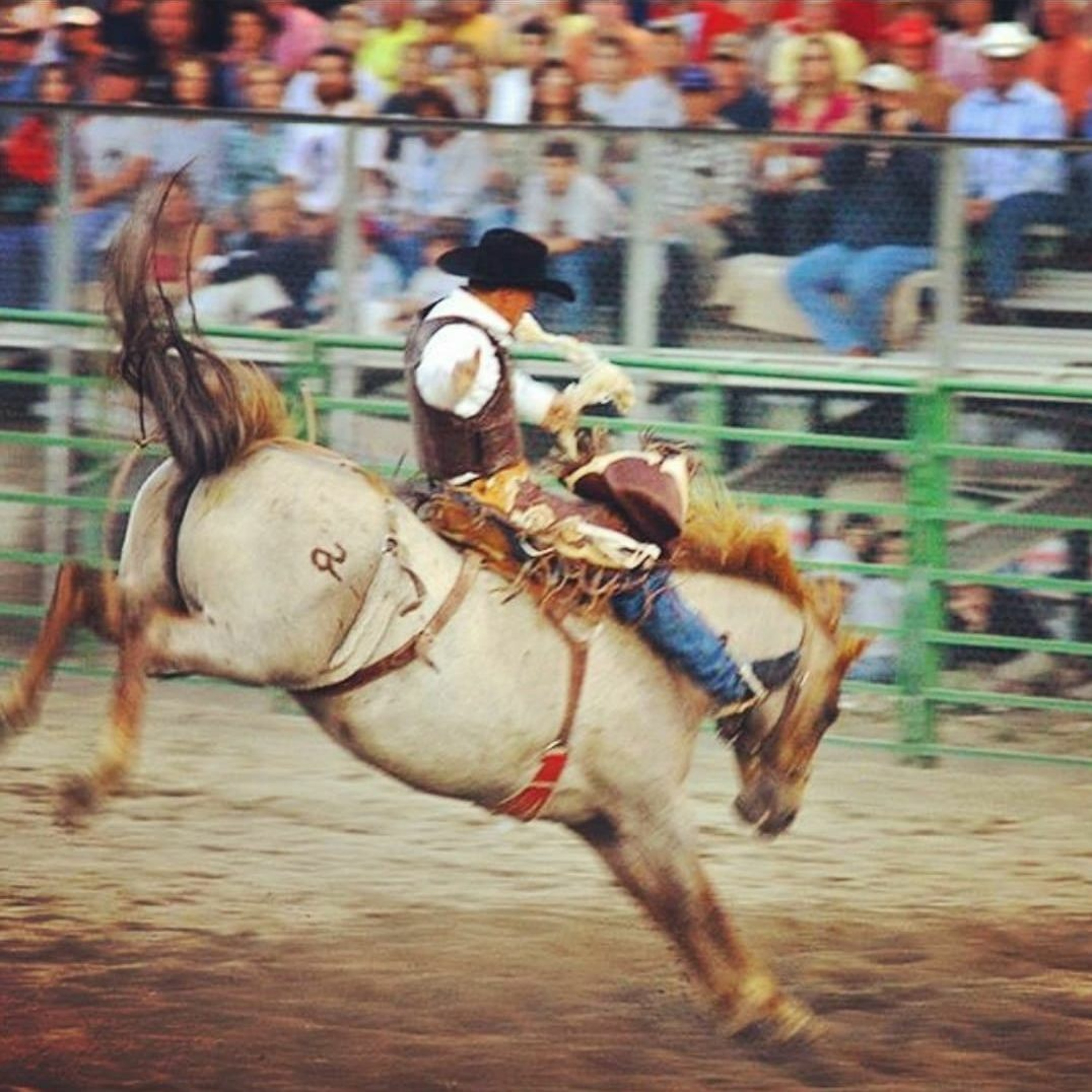Debate Heating up Over the Future of Jackson's Rodeo Grounds episode artwork
