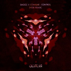 DAGGZ x Comisar - Control (hobi remix)