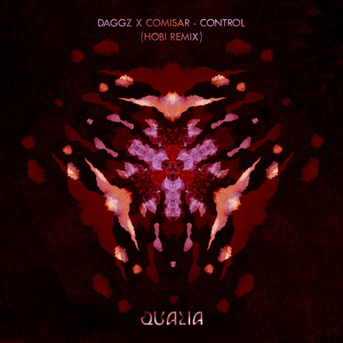 DAGGZ x Comisar - Control (hobi remix)