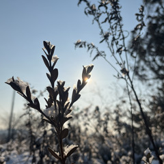 winter stay...(Hbin)(prod. Kif Hood).mp3