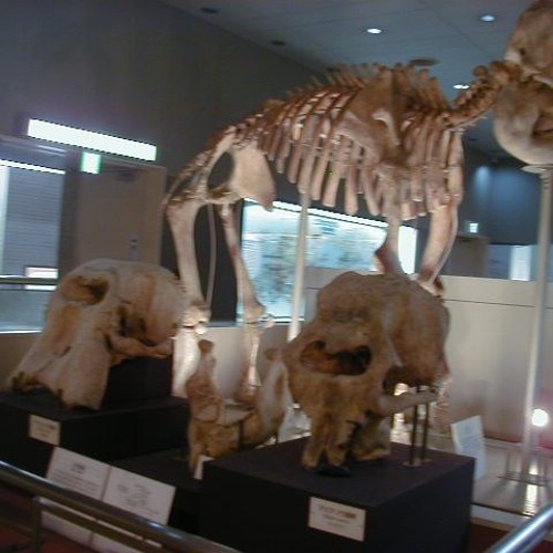 像１