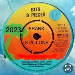 Disco Bits and Pieces 2023