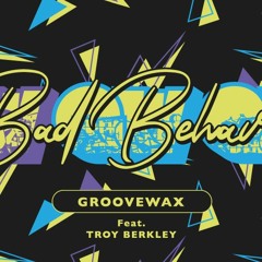 Bad Behavior ( Feat Troy Berkley)