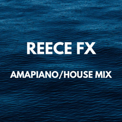 House / Amapiano Mix