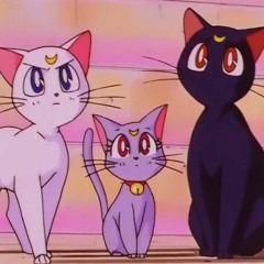 plenka - pretty when u cry