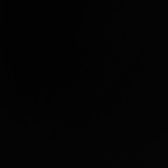 Słoń I MikserDemonologia Cały Album