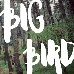 [Official Audio] 다린 (Darin) - 큰새 (Big Bird)