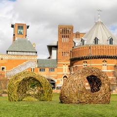 At the Forest's Edge - Copernicana