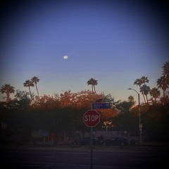 That High [Prod. Pink] (Official Audio)