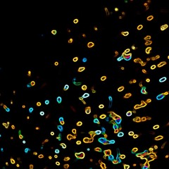 Electroacoustic/Acousmantic/Concrete