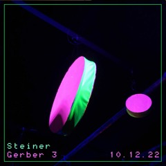 Steiner @ Gerber3 - Wilde Sause party