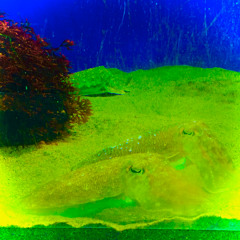 Summer vacation in my brain