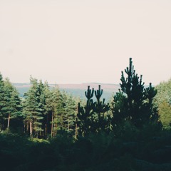 Dandelion By Jealous Of The Birds (Cover)