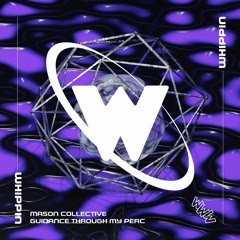 Mason Collective - Guidance Through My Perc