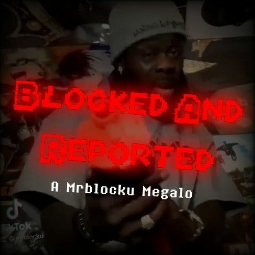 Stream BLOCKED AND REPORTED - A Mrblocku Megalo by Sherbet (archived) |  Listen online for free on SoundCloud